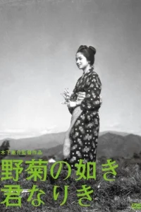 Ты была подобна дикой хризантеме